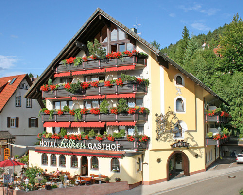Hotel Gasthof Falken