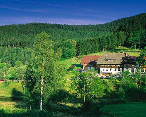 Restaurant Zur Esche im Waldhotel Fehrenbach